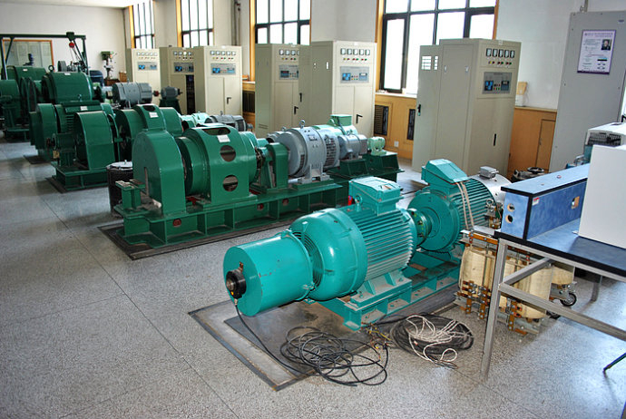 Y5602-8某热电厂使用我厂的YKK高压电机提供动力