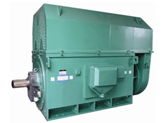 Y5602-8Y系列6KV高压电机