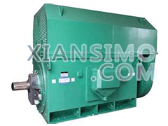 Y5602-8YXKK(2极)高效高压电机技术参数
